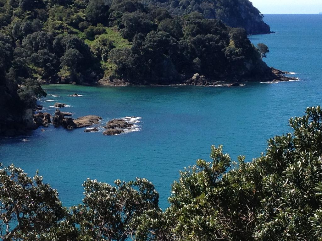 Waihi Beach Getaway-Studio, Ensuite & Private Deck Bagian luar foto
